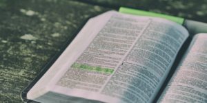 Wisdom: Part 2 Wisdom: Part 2