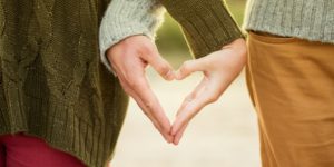 Fidelity Fidelity