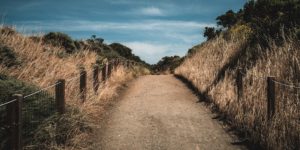 The Narrow Gate The Narrow Gate